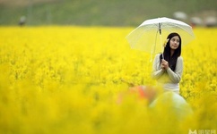 强壮的公弄得高潮HD